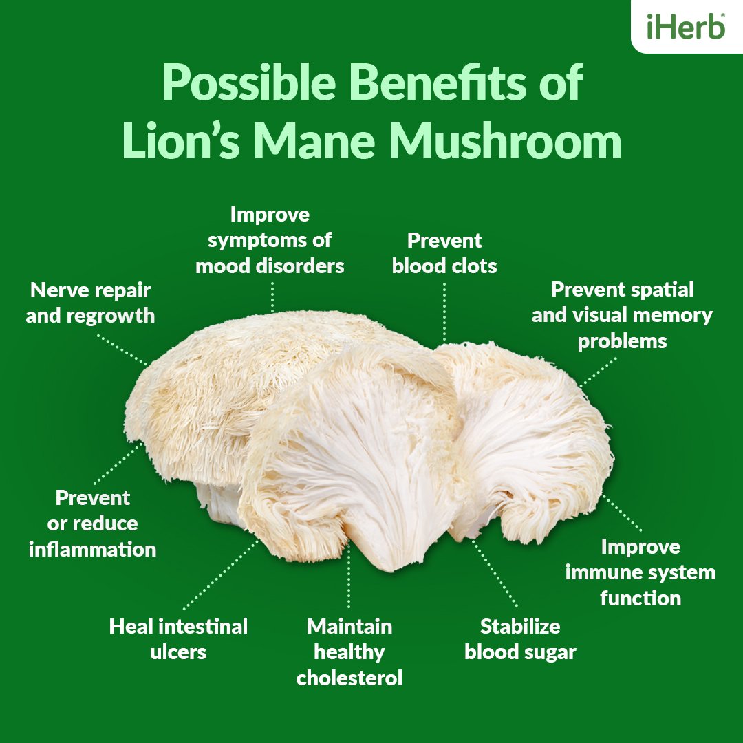 Lion S Mane Here Are 11 Researched Benefits Of The Brain Mushroom   IG Lions Mane 1080x1080 